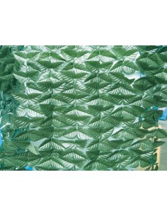 ARELLA SEMPREVERDE LAURO LIGHT 1,00X3,00 M