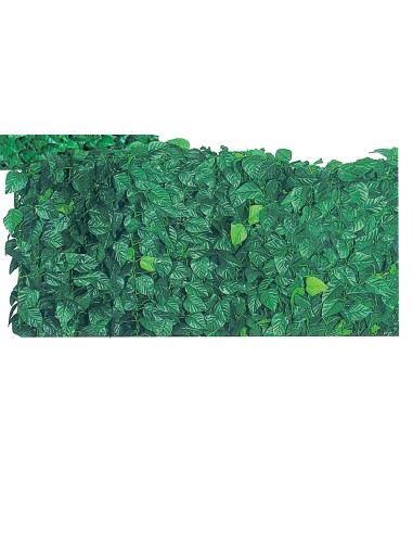 ARELLA SEMPREVERDE LAURO 1,00X 20 M