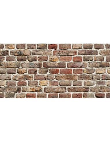 PANNELLO DECORATIVO 50X100 CM DIS. BRICK