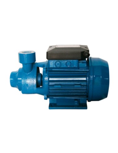 ELETTROPOMPA PERIFERICA 1,0 HP CM6/4N