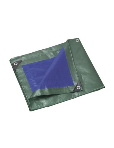 C TELO OCCHIELLATO PE VERDE/BLU  4X 4M 110GR