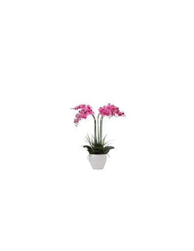 C ORCHIDEA C/VASO BIANCO 60 CM