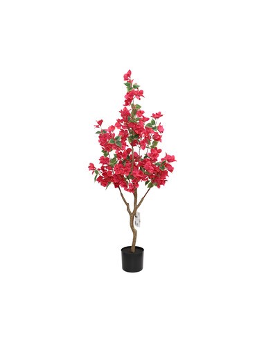 C BOUGANVILLEA 120 CM