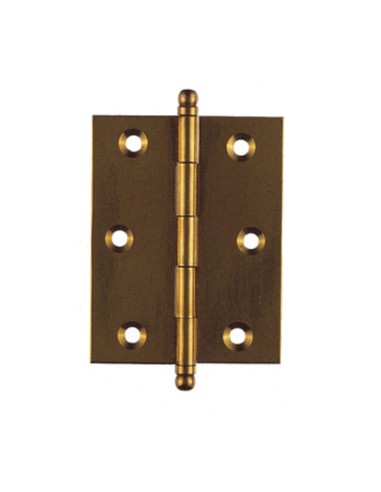 BL CERNIERA OTTONE 60 X 100 MM DA 2 PZ