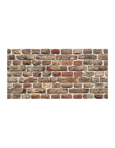 PANNELLO DECORATIVO 50X100 CM DIS. BRICK