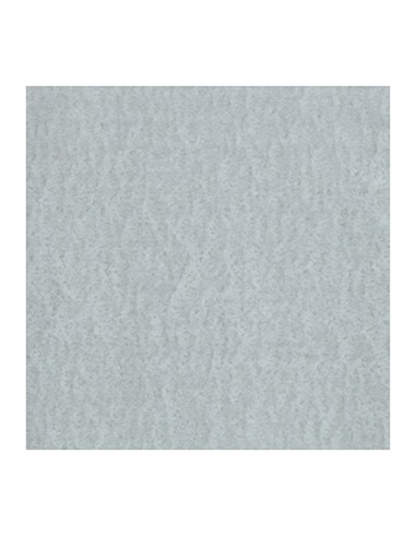 LAMIERA 38053 LISCIA ACCIAIO 60X100X0,05 CM